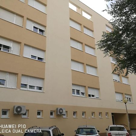 Apartment Mihaela Zadar Exteriör bild