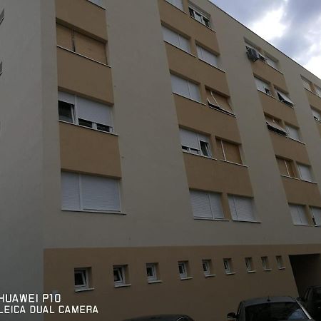 Apartment Mihaela Zadar Exteriör bild
