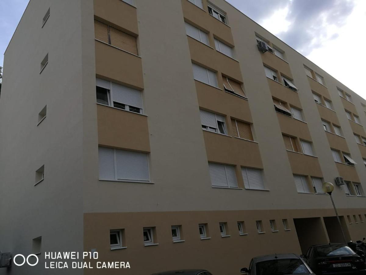 Apartment Mihaela Zadar Exteriör bild